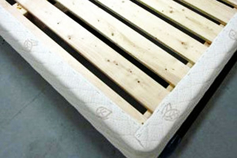 Berkeley Ergonomics Regular Foundation